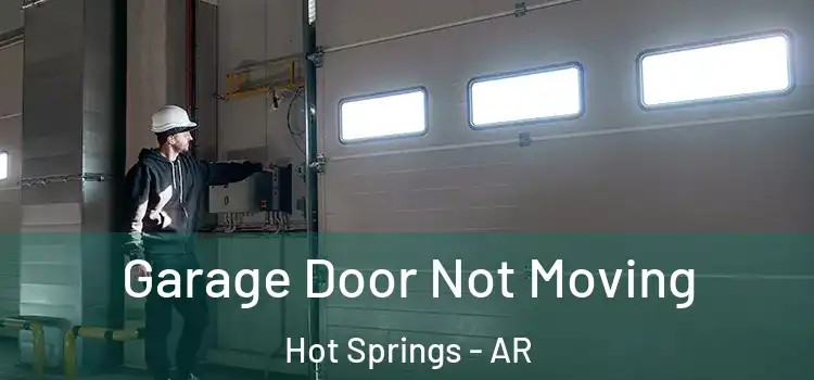  Garage Door Not Moving Hot Springs - AR