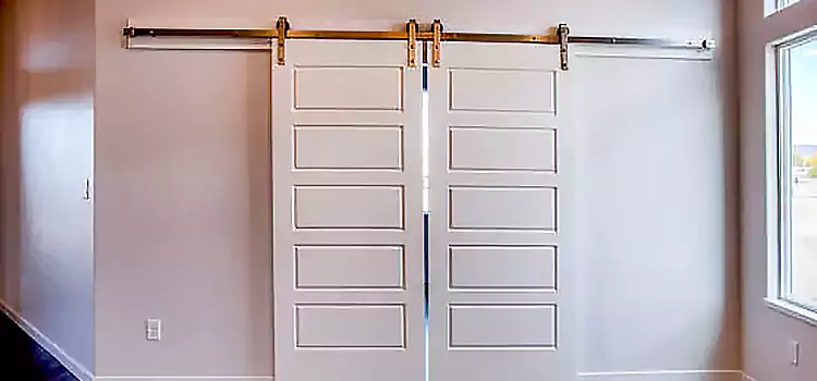 Glass Barn Door with Installation Hardware Kit Hot Springs