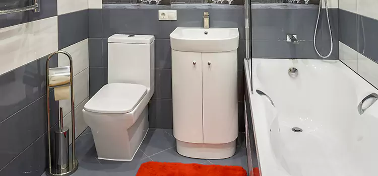 Hansgrohe Shaving Mirror Hot Springs